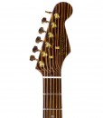 Branson S-type Guitar All-Zebrawood