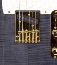 Branson T-type Guitar Trans Black with Gold